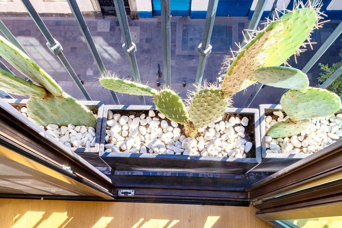 Loft Boho En El Centro Historico Imperdible Appartement Mexico-stad Buitenkant foto